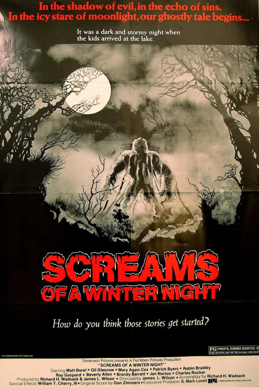 《冬夜尖叫》：寒冷冬夜的致命惊悚，当真相如同冰雪般崩塌！